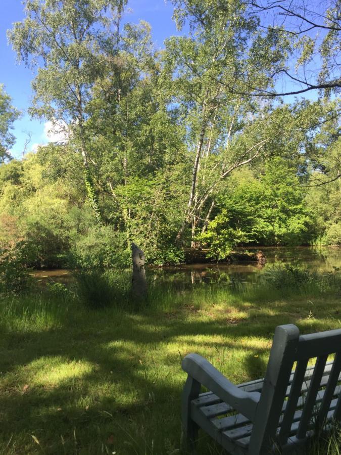 Le Gite Du Petit Renard: A Tranquil Gite With Pool Oradour-Saint-Genest Εξωτερικό φωτογραφία